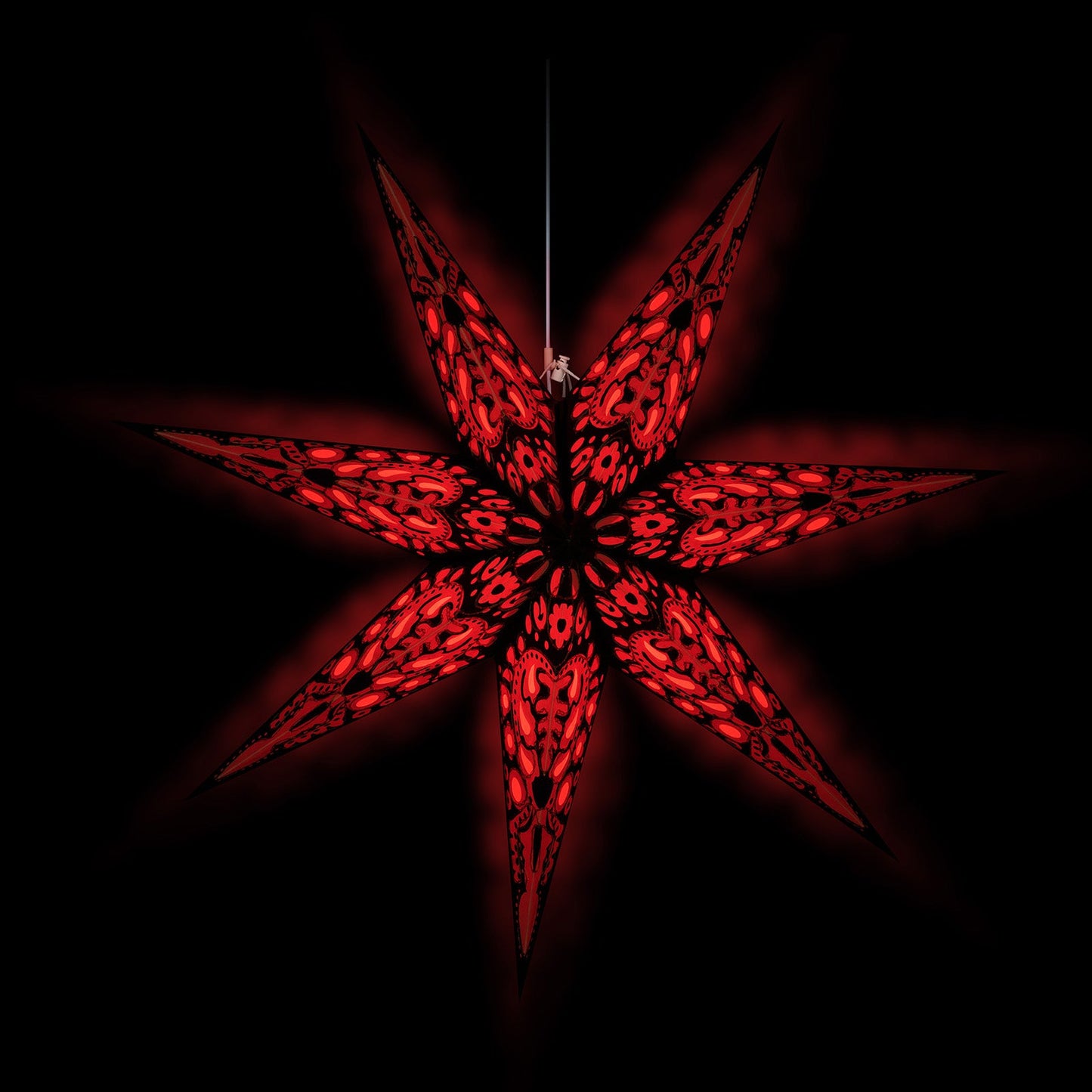 Black Star einzeln (60 cm)