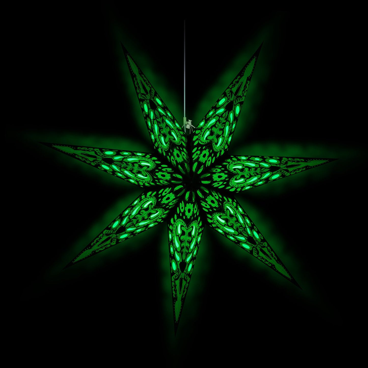 Black Star einzeln (60 cm)