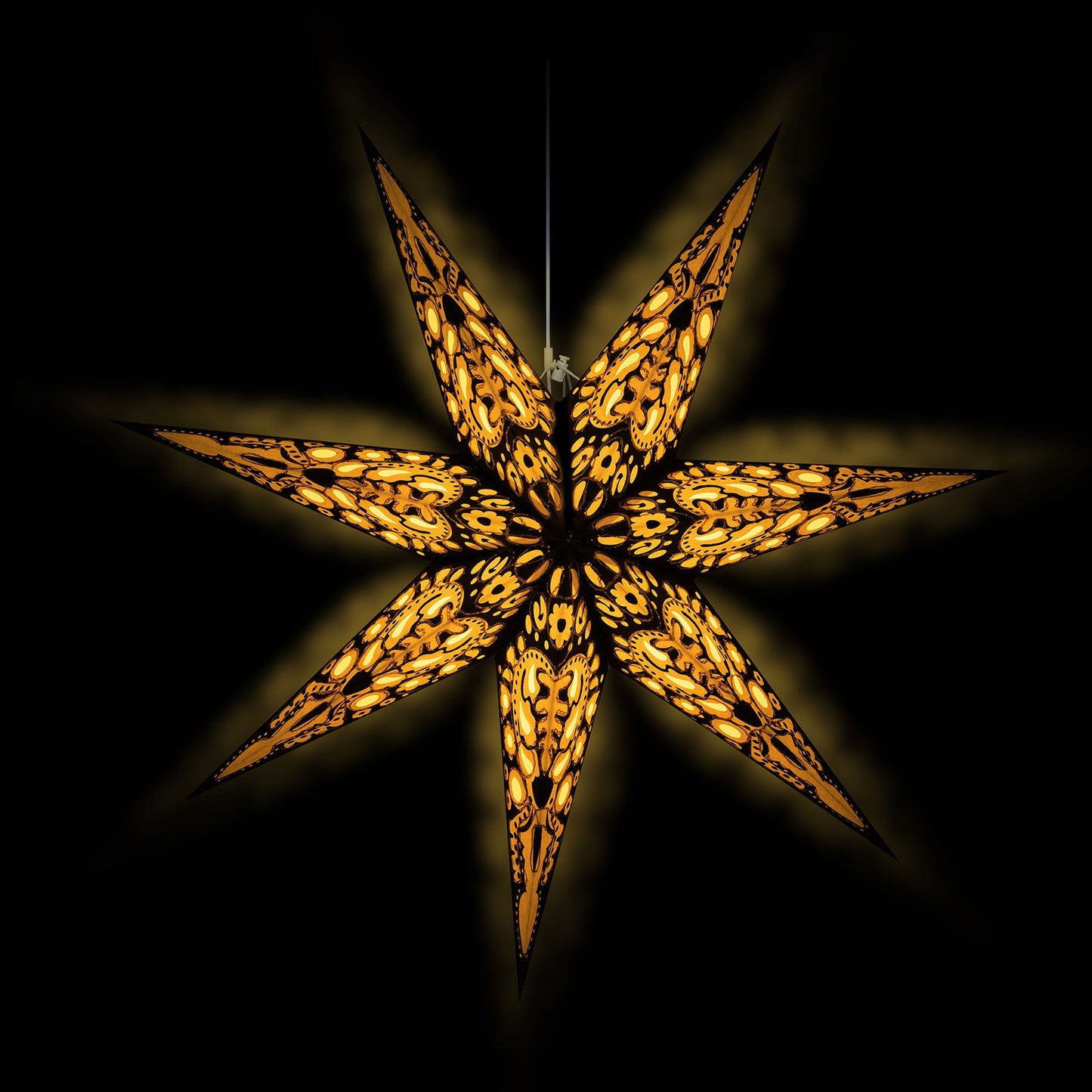 Black Star einzeln (60 cm)