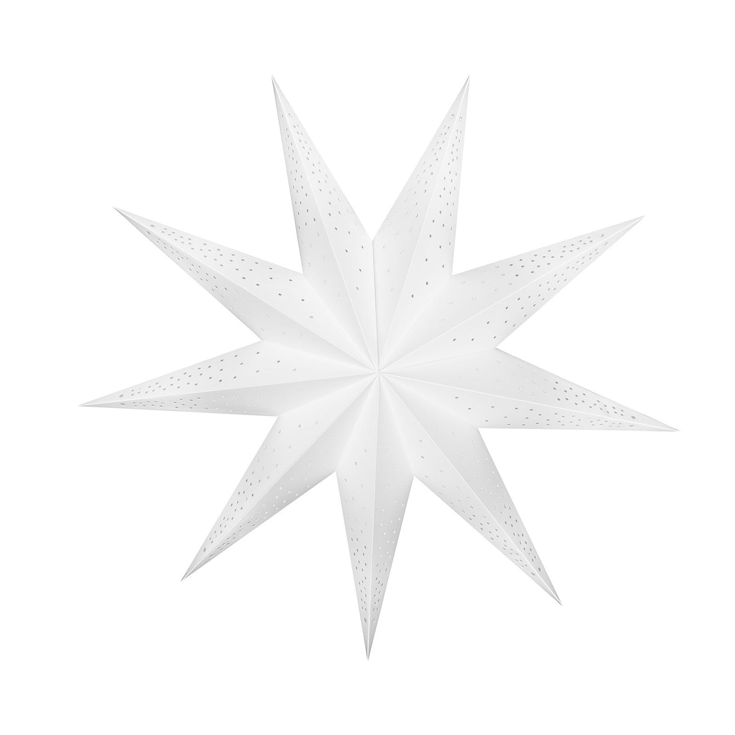 Set Anemone ohne Netzteil (60 cm)