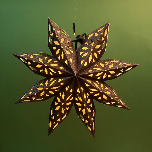 Schwarzer Stern (20 cm)